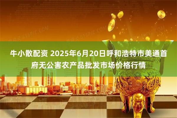 牛小散配资 2025年6月20日呼和浩特市美通首府无公害农产品批发市场价格行情