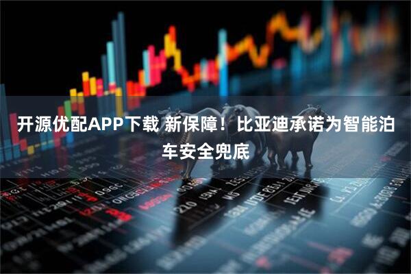 开源优配APP下载 新保障！比亚迪承诺为智能泊车安全兜底