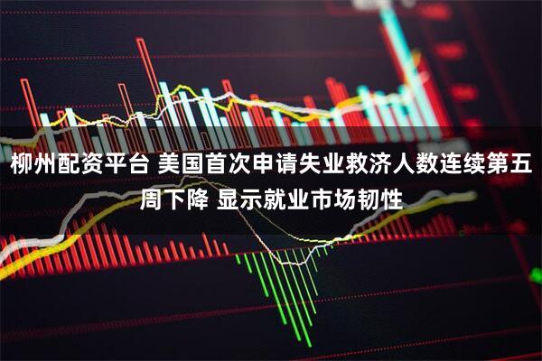 柳州配资平台 美国首次申请失业救济人数连续第五周下降 显示就业市场韧性