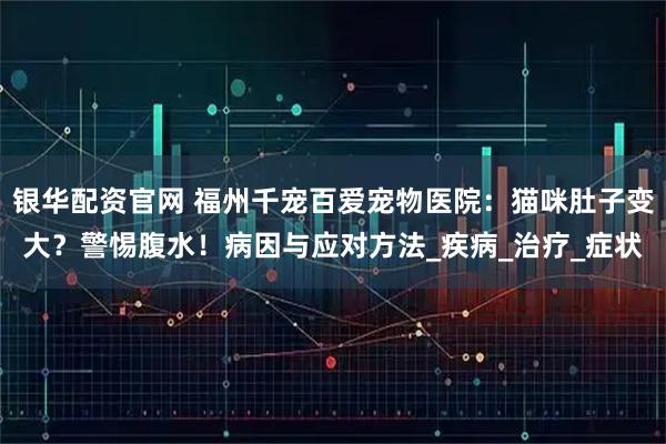 银华配资官网 福州千宠百爱宠物医院：猫咪肚子变大？警惕腹水！病因与应对方法_疾病_治疗_症状