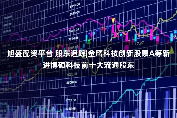 旭盛配资平台 股东追踪|金鹰科技创新股票A等新进博硕科技前十大流通股东