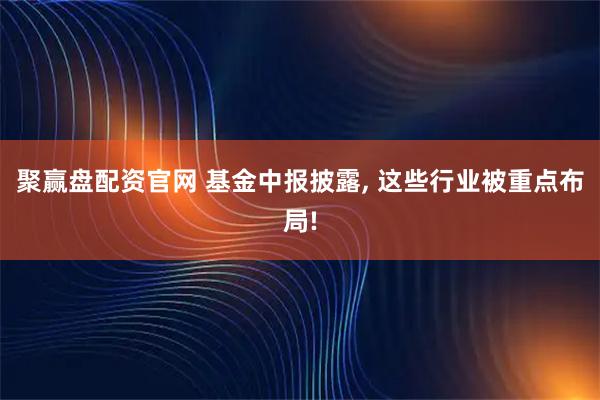 聚赢盘配资官网 基金中报披露, 这些行业被重点布局!