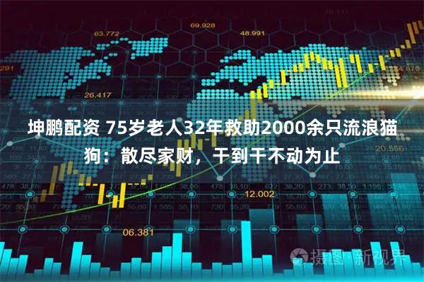 坤鹏配资 75岁老人32年救助2000余只流浪猫狗:散尽家财,干到干不动为止